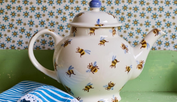 Emma Bridgewater Teapots Online