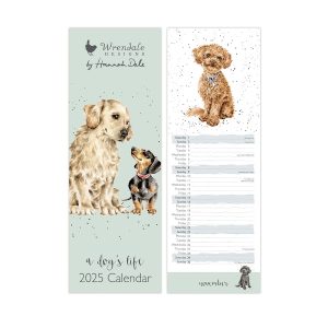 Forward facing studio image of Wrendale A Dog's Life Slim Calendar 2025 showing the front cover of a golden retriever and dachshund and then an illustrated page of a puppy on November's page.